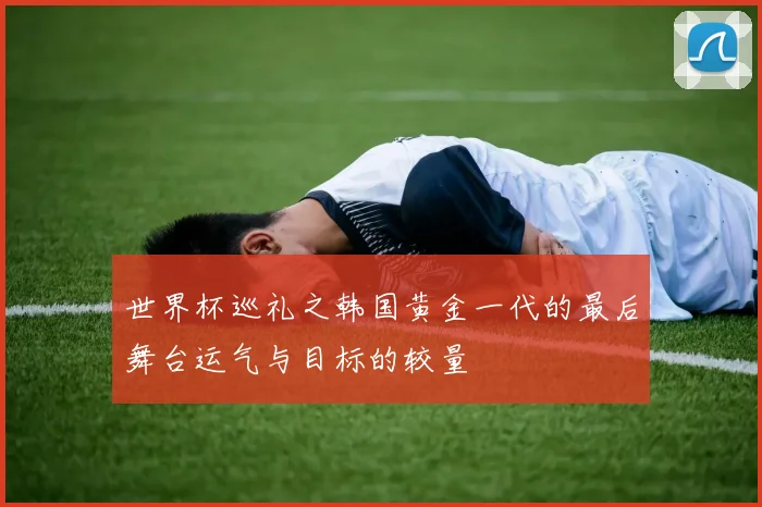 世界杯巡礼之韩国黄金一代的最后舞台运气与目标的较量